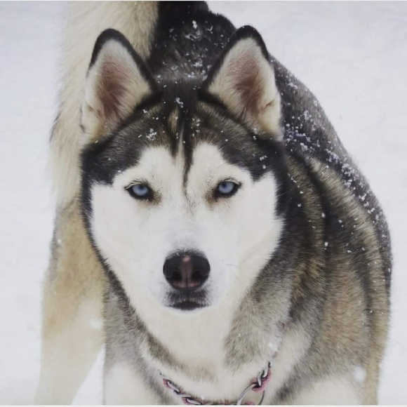 Meet your Posher, Julie - Picture 3 of 3